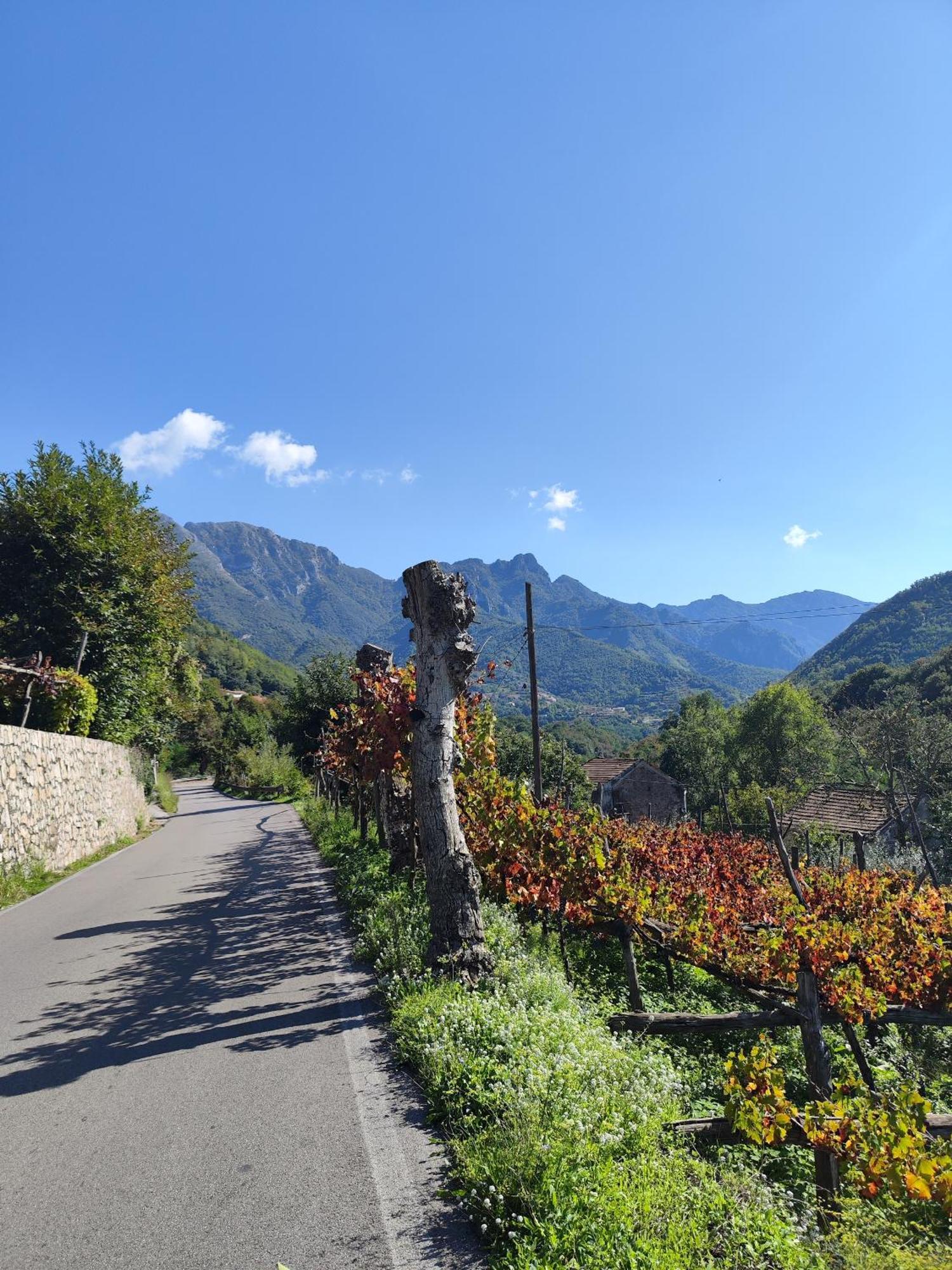 Willa Il Vigneto Tramonti Zewnętrze zdjęcie